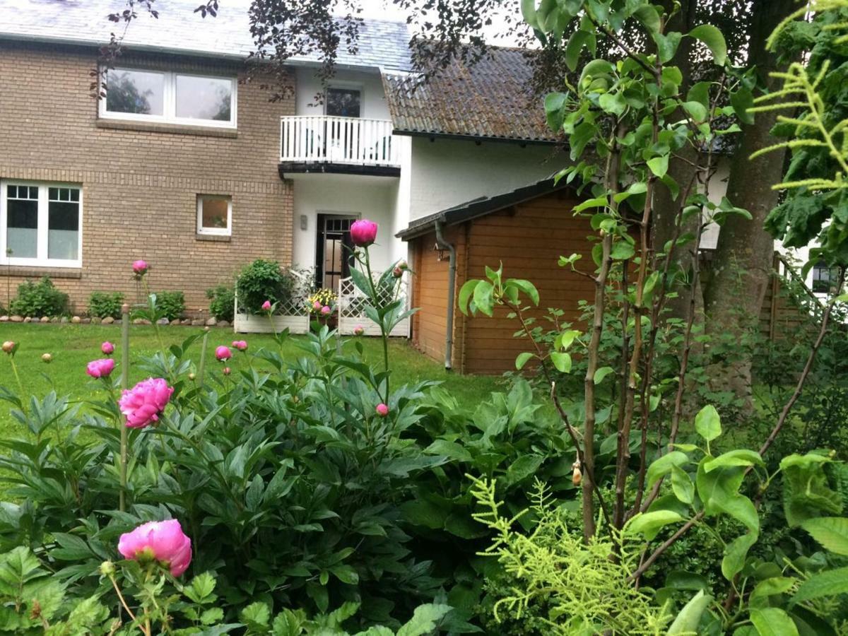 Fewo An Der Muehle Hasselberg  Exterior photo